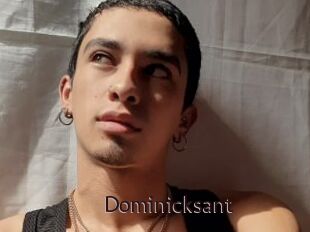 Dominicksant