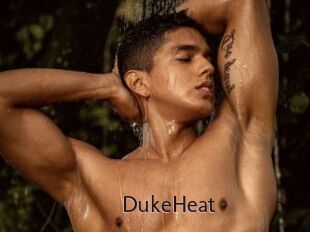 DukeHeat