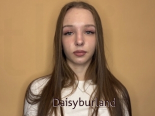 Daisyburland