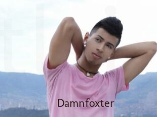 Damnfoxter