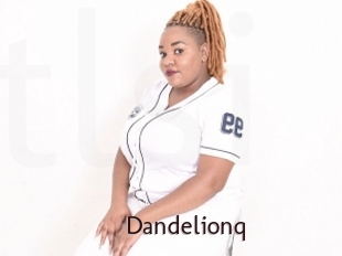 Dandelionq