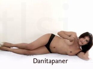 Danitapaner
