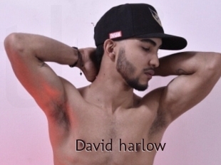 david_harlow Top listen server