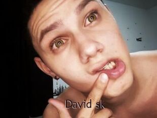 David_sk