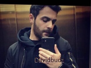 Davidbudz