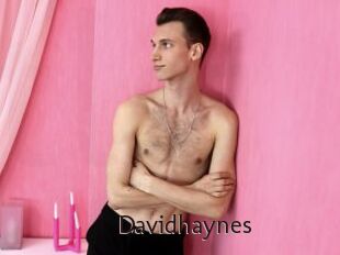 Davidhaynes