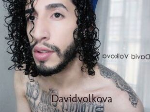 Davidvolkova