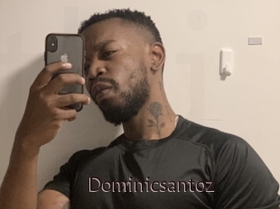 Dominicsantoz