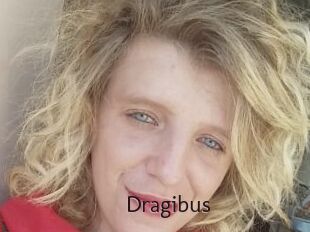 Dragibus