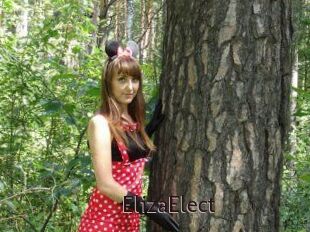 ElizaElect