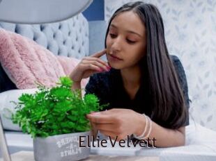 EllieVelvett
