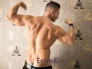ErwinErv