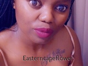 Easterncapeflower