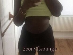 Ebony_flamingo