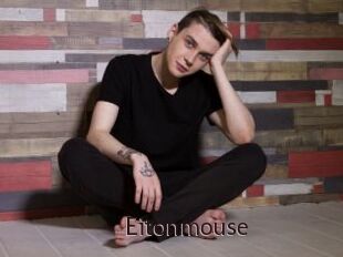 Eitonmouse