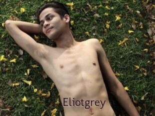 Eliotgrey