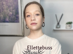Ellettebuss