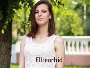Ellieorhid