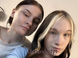 Elvaandedyt
