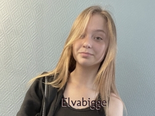 Elvabigge