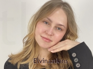 Elvinaatkins