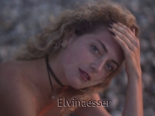 Elvinaesser