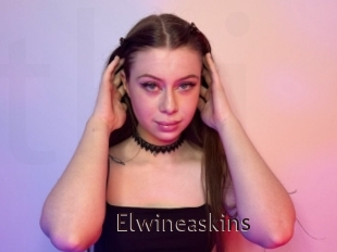 Elwineaskins