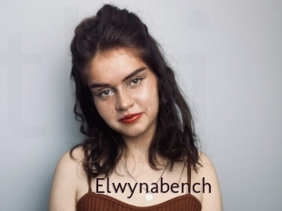 Elwynabench