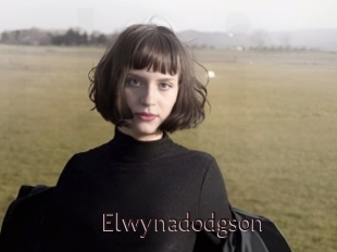 Elwynadodgson