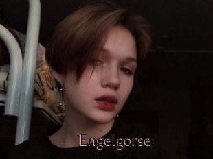 Engelgorse