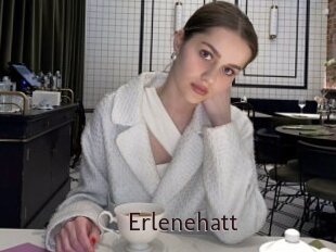 Erlenehatt