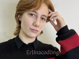 Erlinacodling