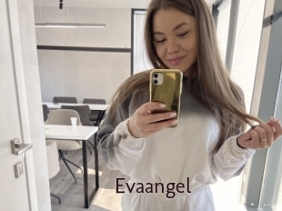 Evaangel