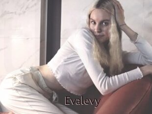 Evalevy