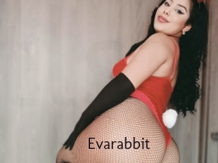 Evarabbit