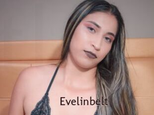 Evelinbelt