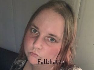 Falbkatze