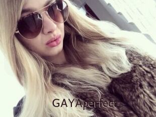 GAYAperfect