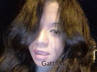 Gattina