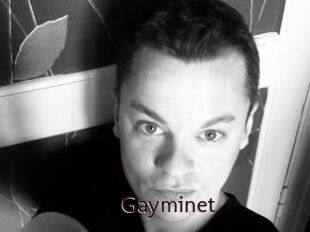 Gayminet
