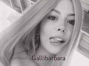 Gallibarbara