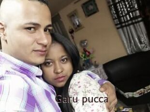 Garu_pucca
