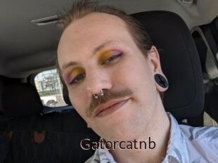 Gatorcatnb