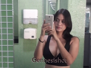 Gennesishot