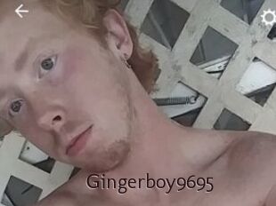 Gingerboy9695