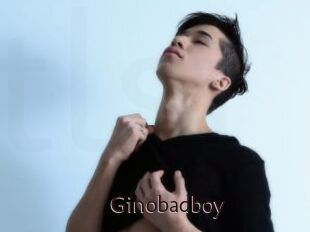 Ginobadboy