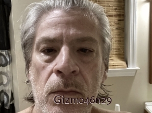 Gizmo46n29