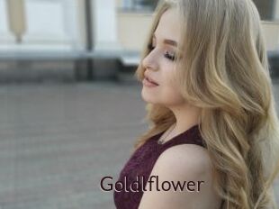 Goldlflower