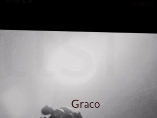 graco Top listen server