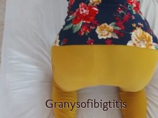 Granysofibigtitis